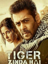 Watch Tiger Zinda Hai (2017) Online Full Movie Free